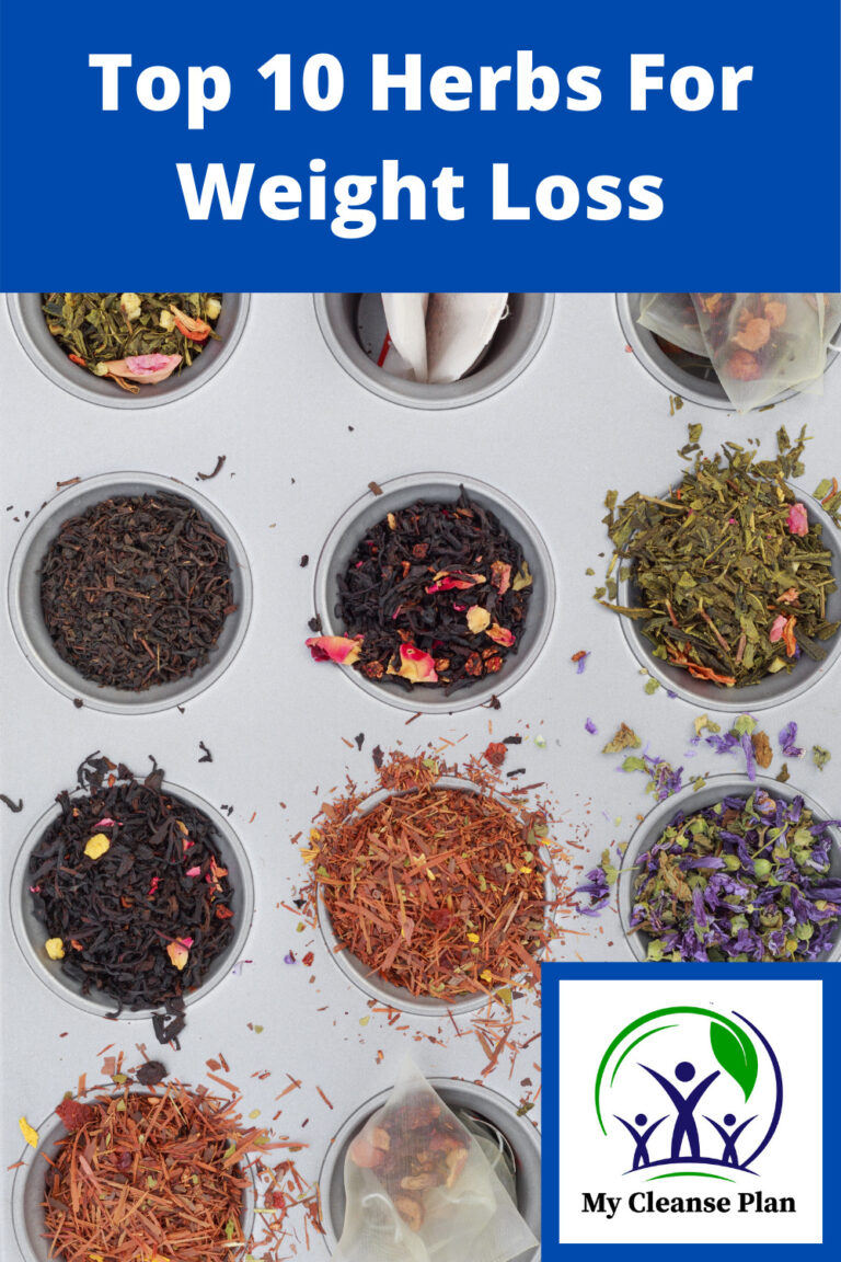 Top 10 Herbs For Weight Loss