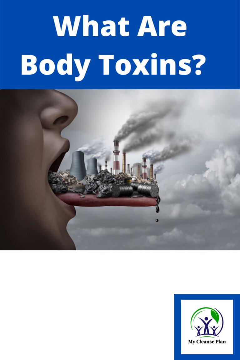 environmental-toxin-profile-172-toxins-living-health-market