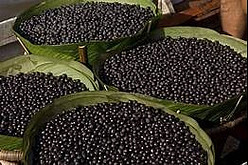 Acai Berries