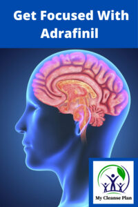 Get Focused With Adrafinil