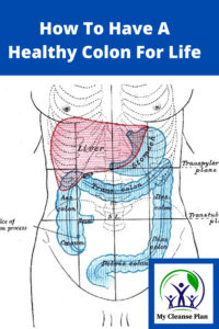 How To Have A Healthy Colon For Life