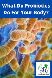 What Do Probiotics Do For Your Body