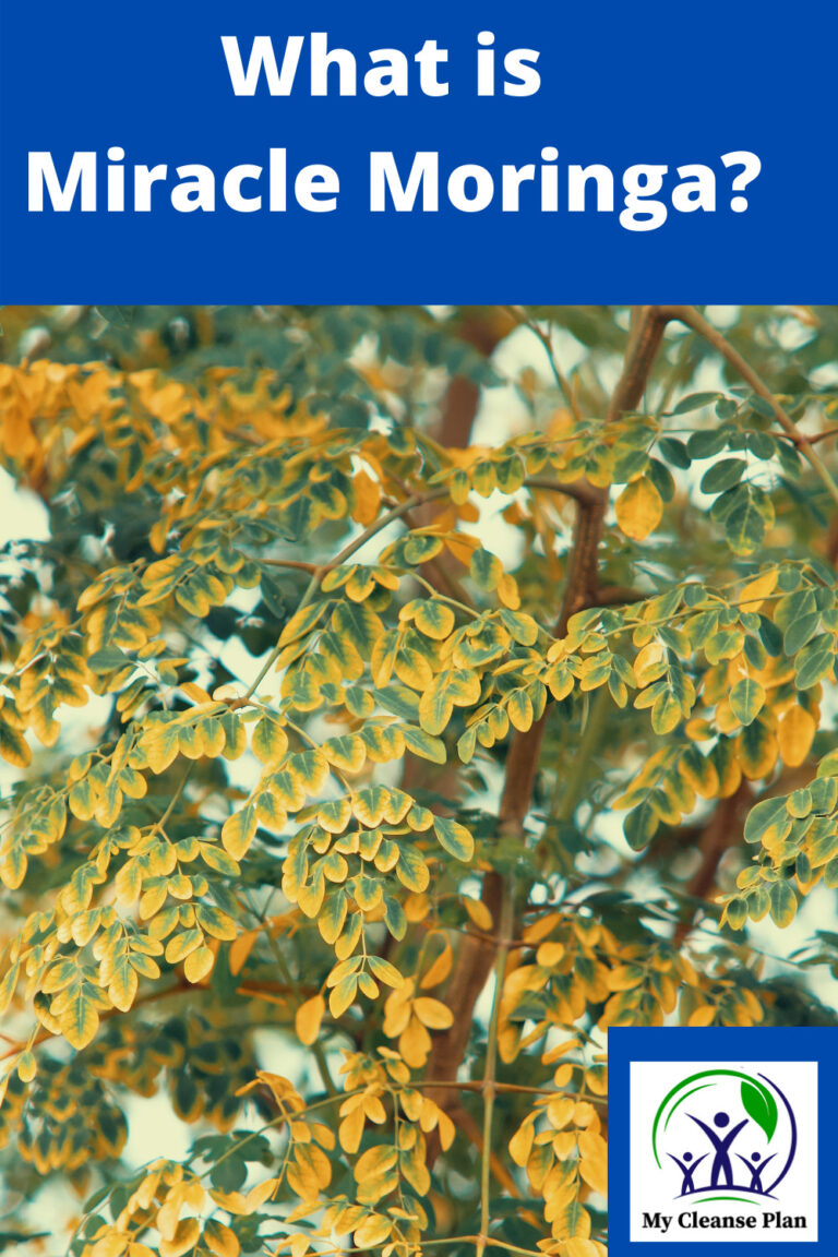 What Is Miracle Moringa