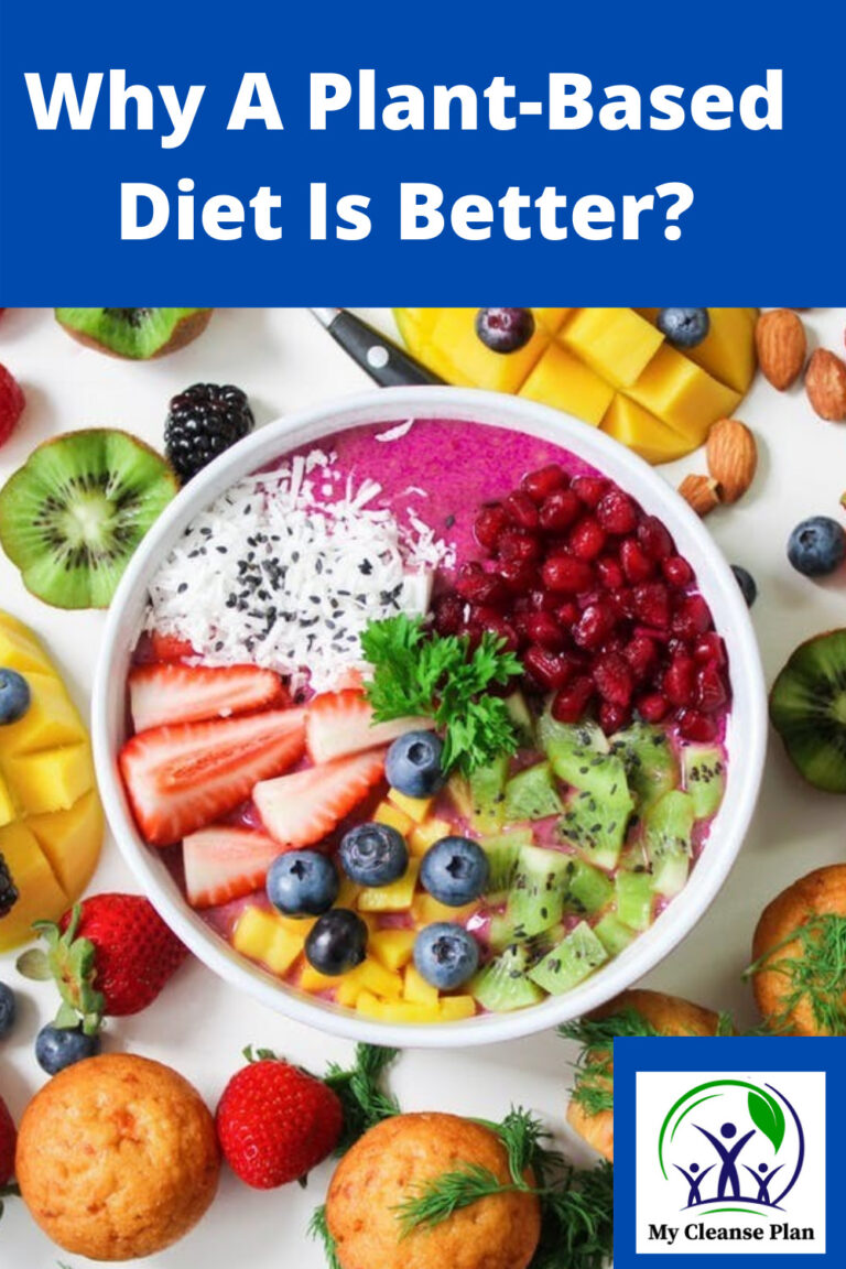 Why A Plant-Based Diet Is Better – It Just Is Healthier