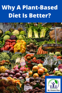 Why A Plant Based Diet Is Better