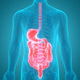help your digestive system help you