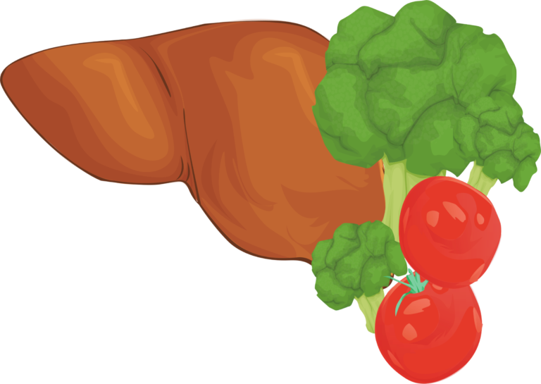 Cleansing Your Liver Keeps You Healthier