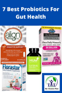 7 Best Probiotics For Gut Health