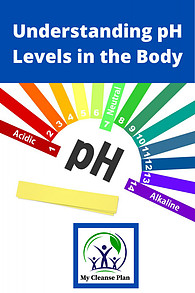 Understanding pH Levels in the Body
