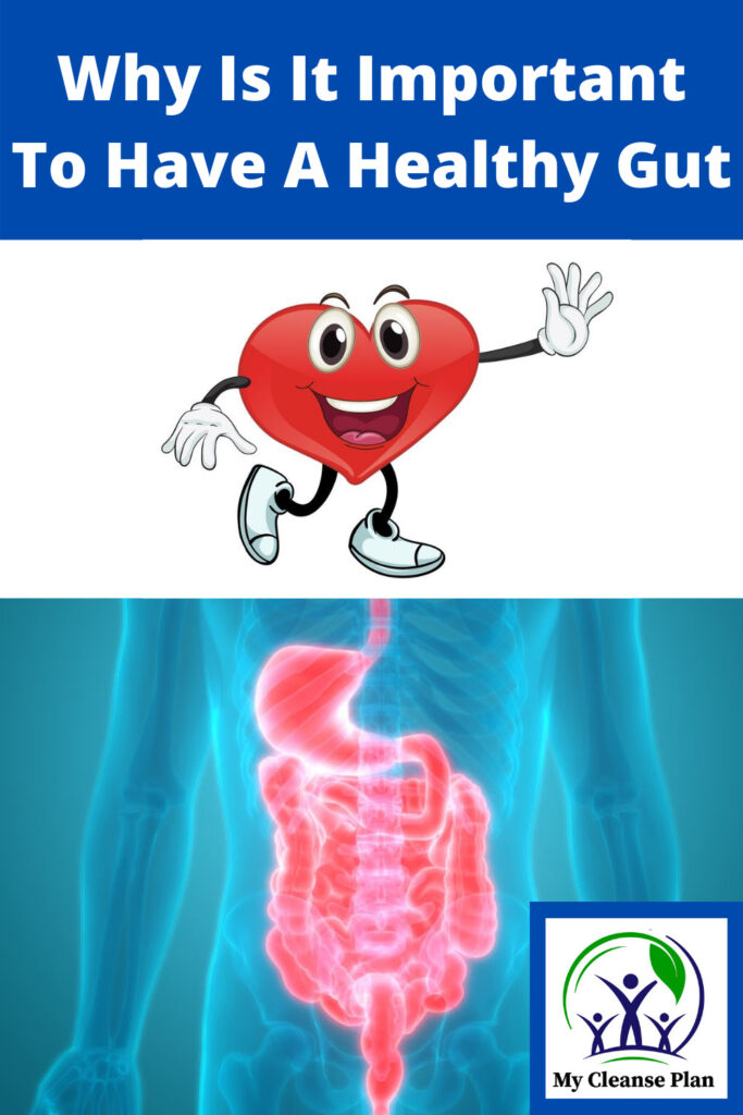 Why Is It Important To Have A Healthy Gut