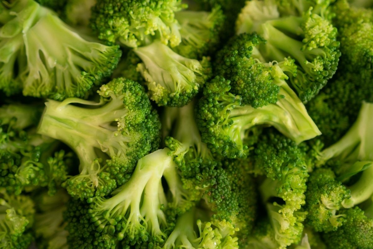 Can You Juice Broccoli?