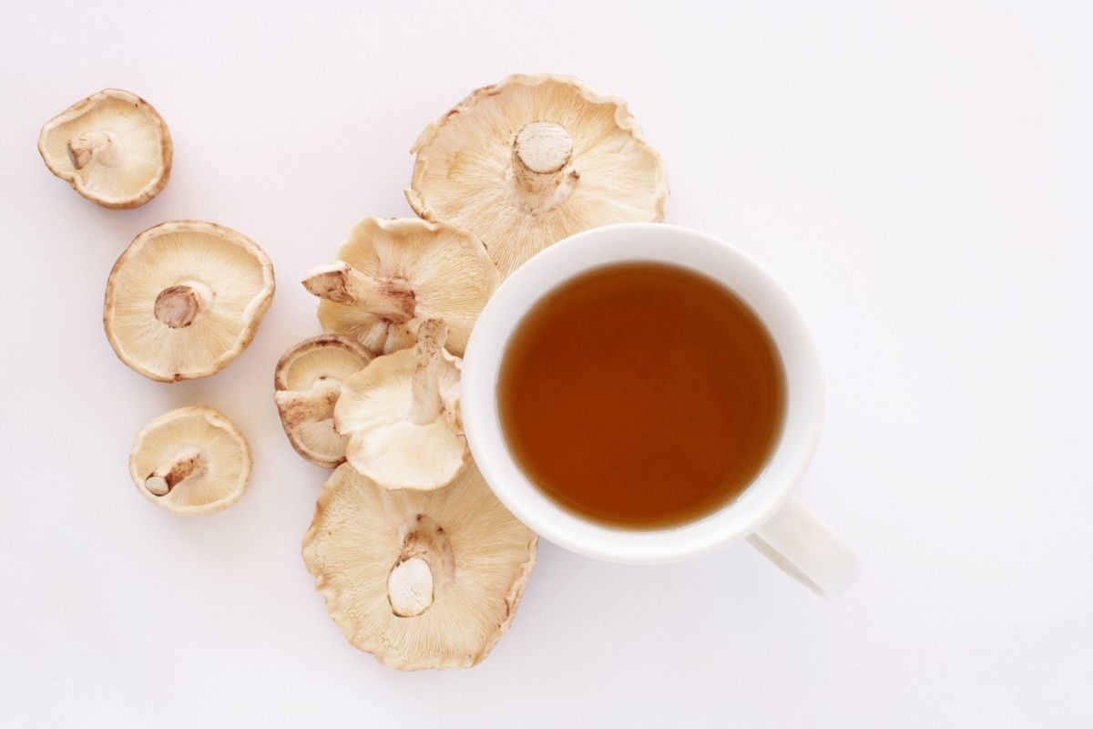 How To Make Mushroom Tea