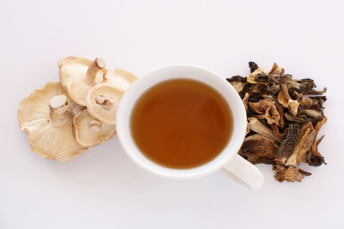 Mushroom Tea Benefits  