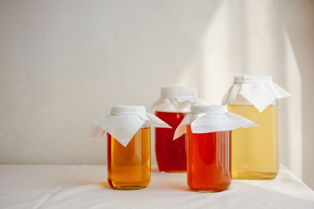 Does Kombucha Make You Lose Weight?