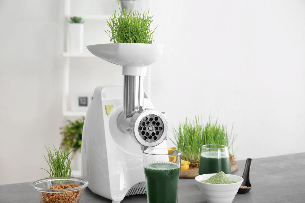 How To Make Wheat Grass Juice
