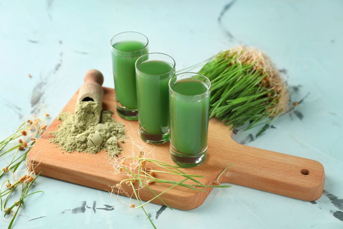 How To Make Wheat Grass Juice 2