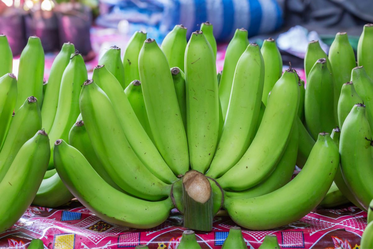 Benefits Of Green Banana