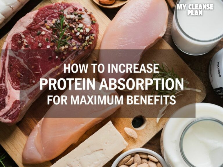 How to Increase Protein Absorption for Maximum Benefits