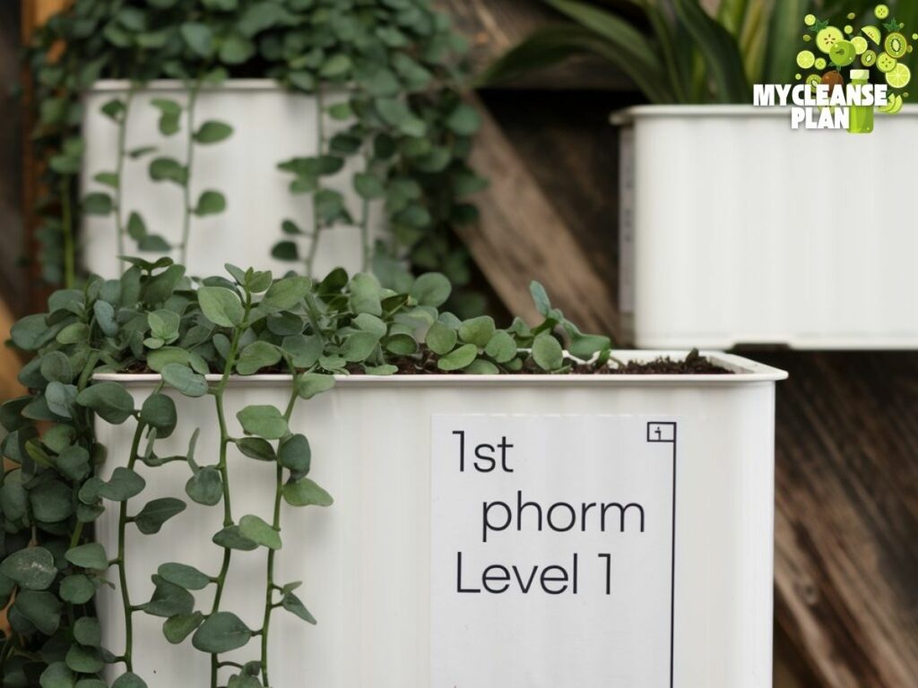 How to Properly Store 1st Phorm Level 1 Protein Powder
