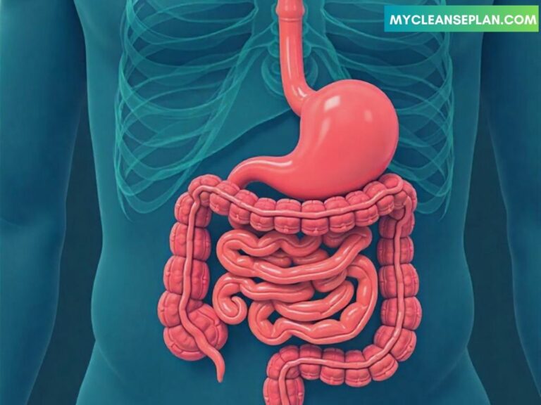 Discover the Surprising Gut Health and Mental Health Bond